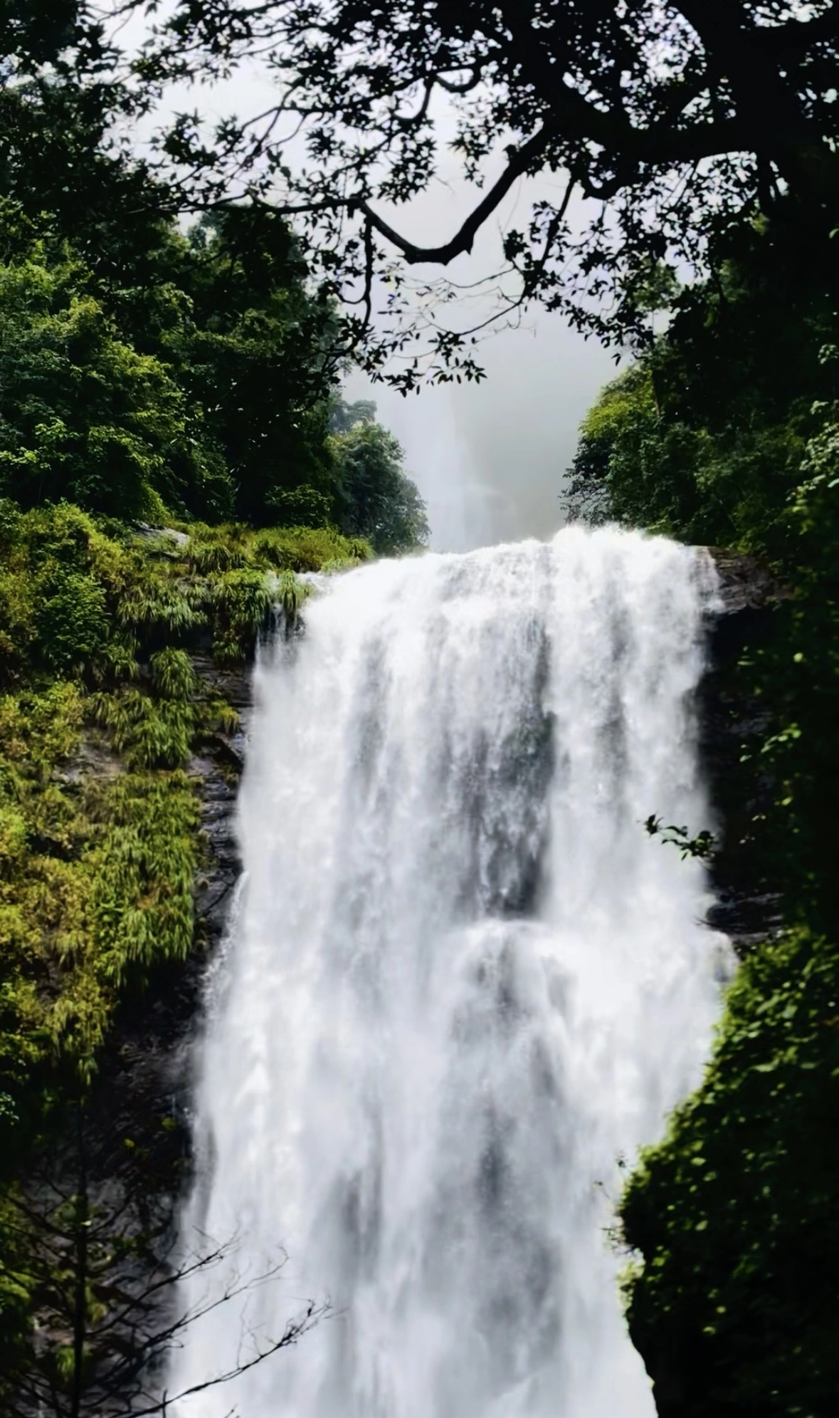 Experience Chikmagalur - Photo 2