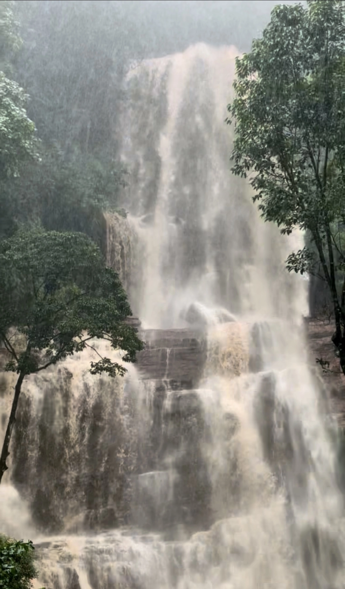 Experience Chikmagalur - Photo 3