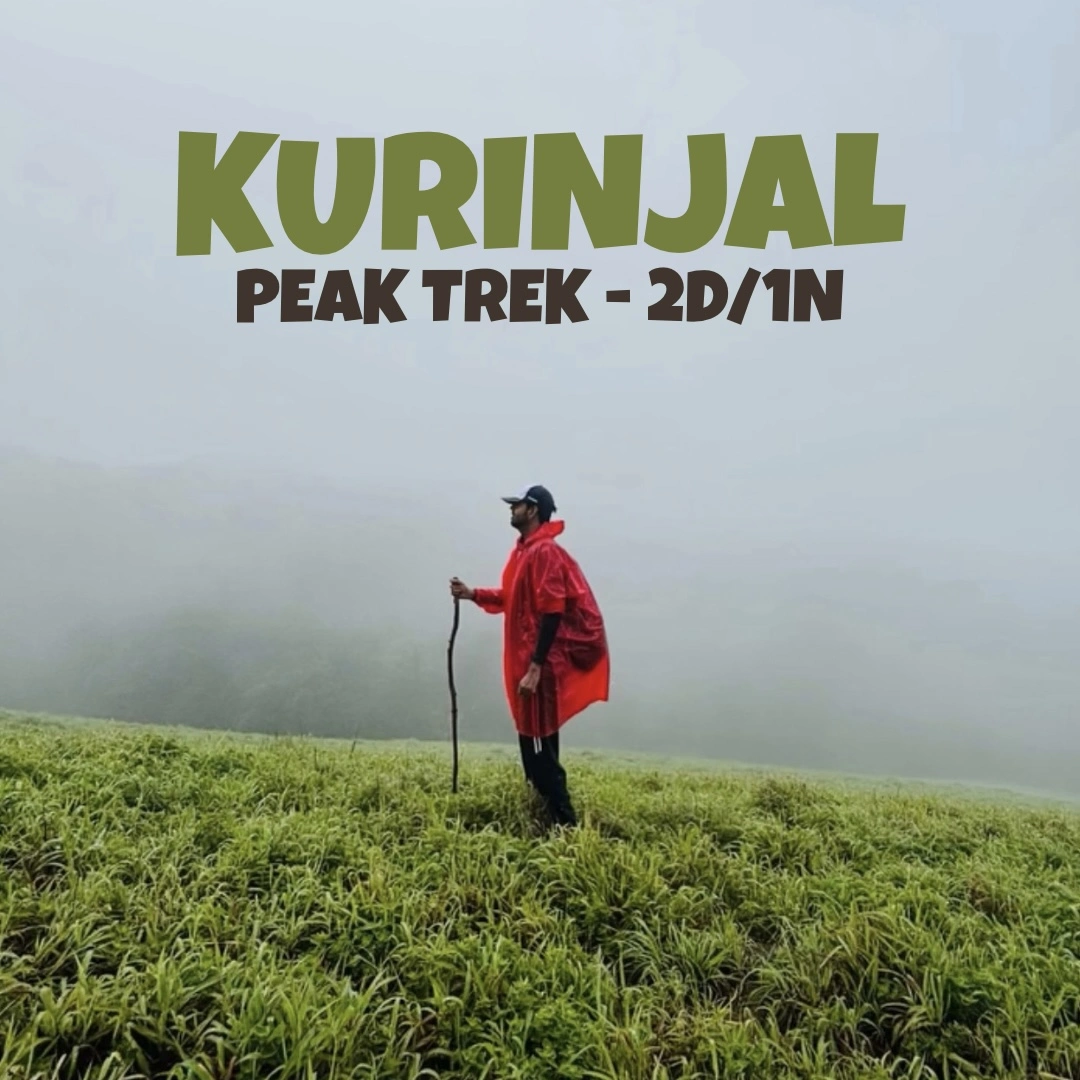 Kurinjal Peak Trek