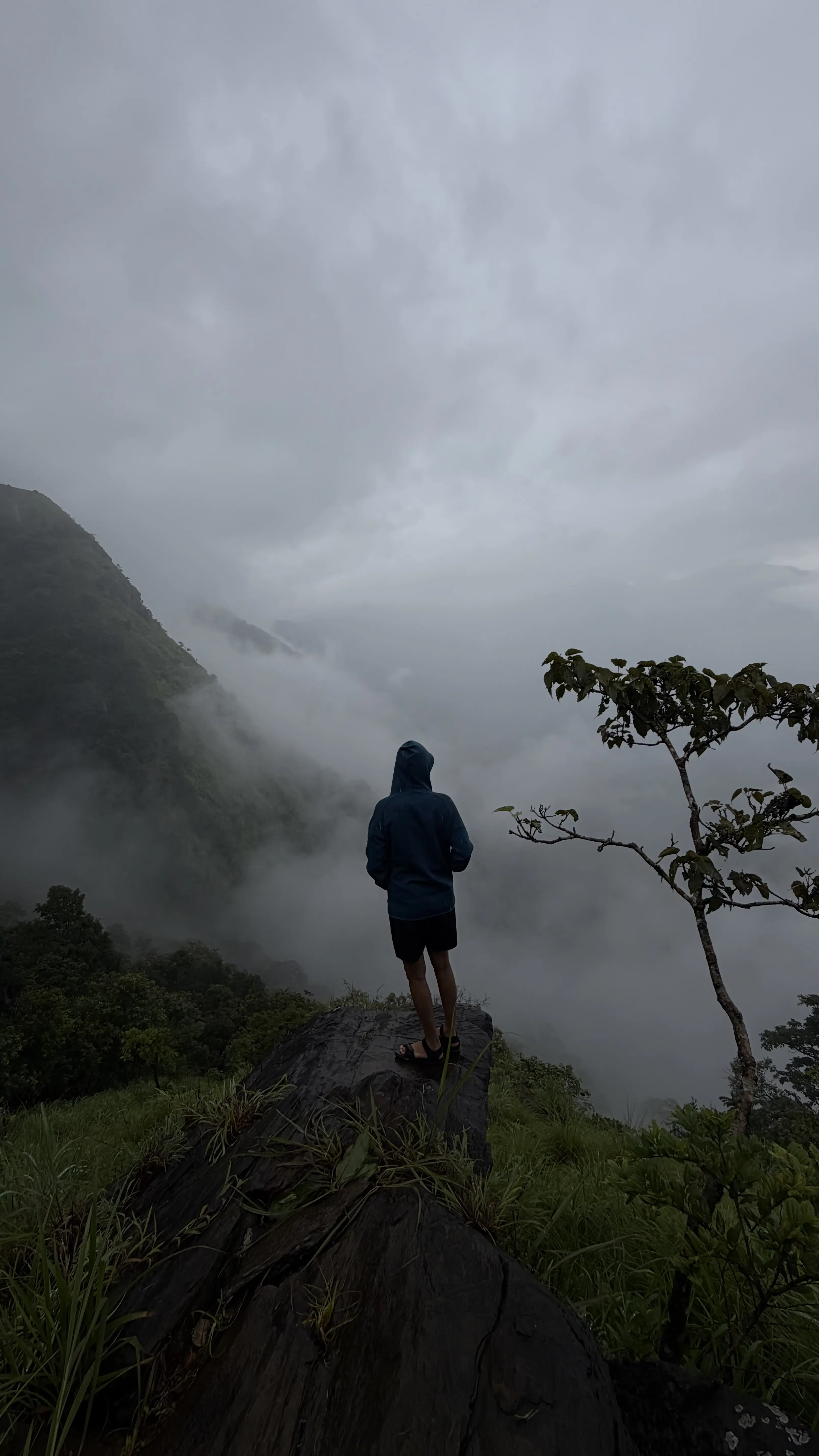 Netravathi Trek - Photo 2