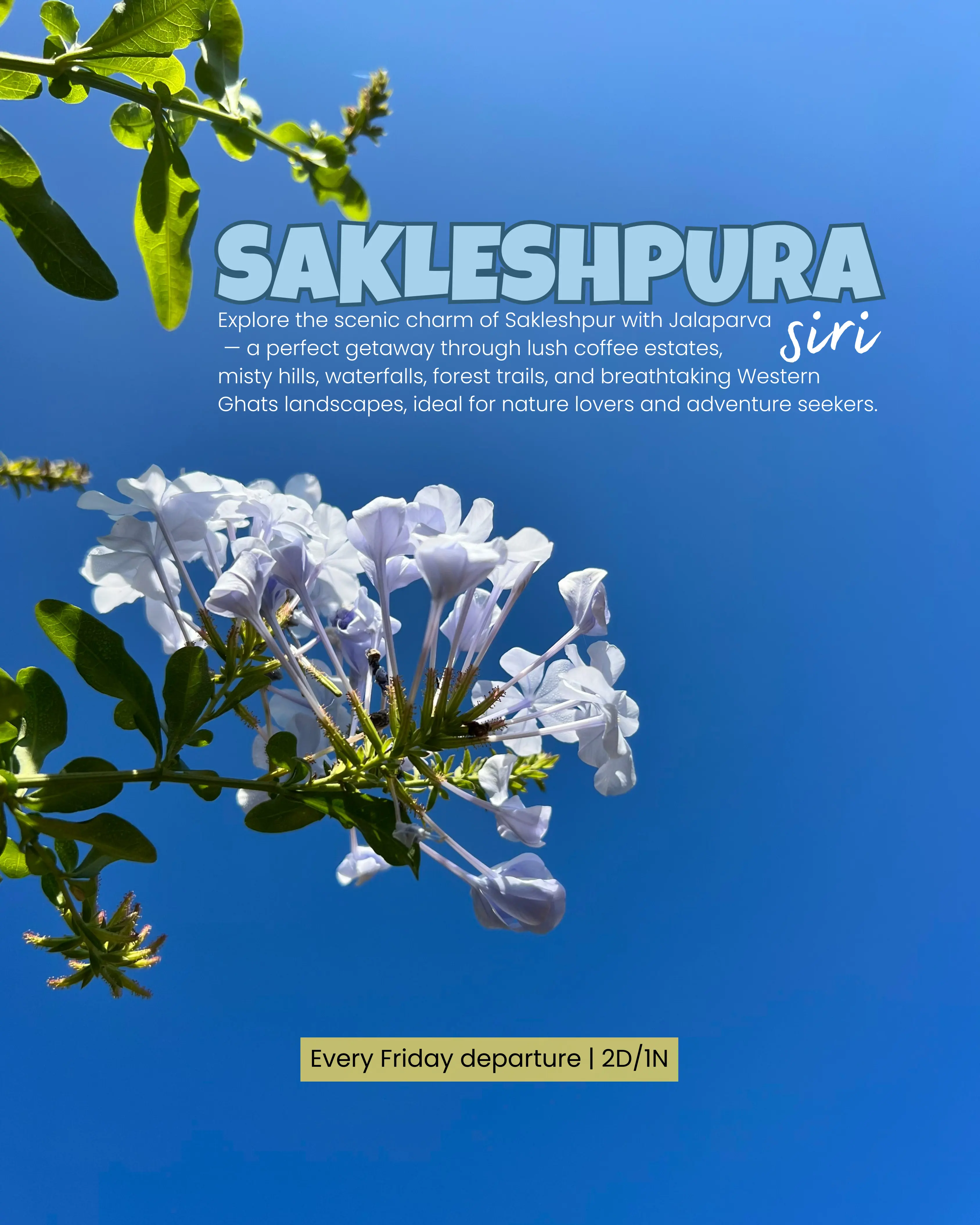 Sakleshpura Siri